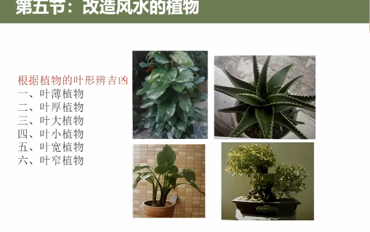 图片[2]|人居环境学：阳宅公司商铺装修装饰风水勘测布局208集全|传烽国学